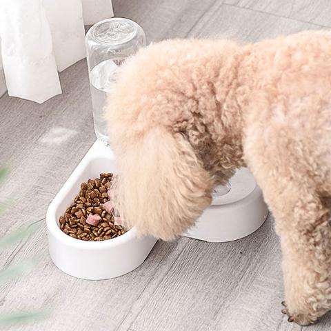 Transparent Automatic Heart Shaped Pet Dog Cat Feeding Drinking Bowl pet feeder bowl