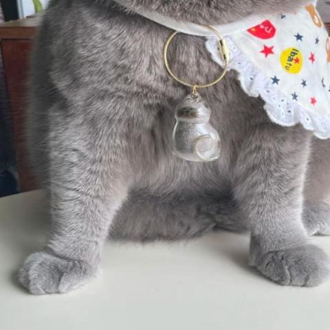 Cat Fur Keychain