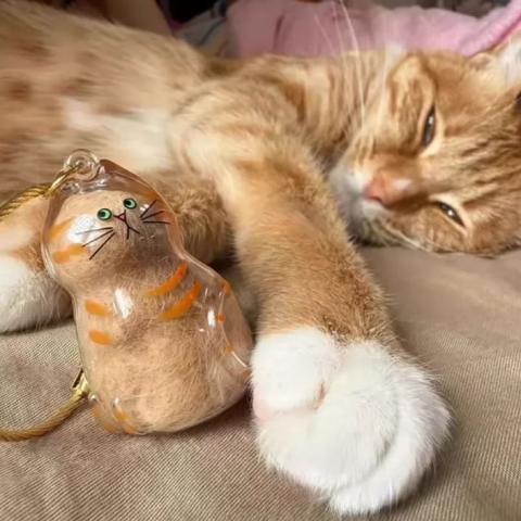 Cat Fur Keychain