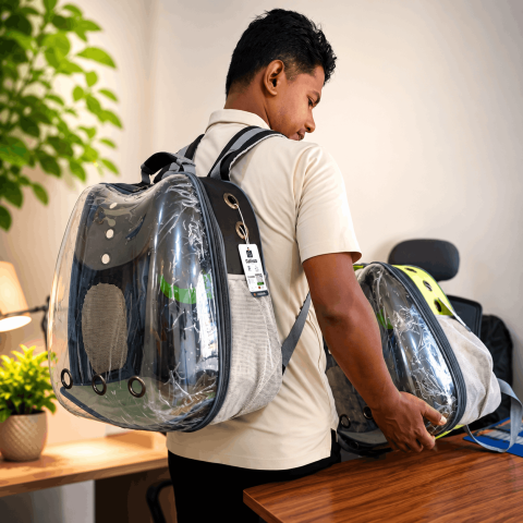 Transparent Cat Carrier Apple Shape Black