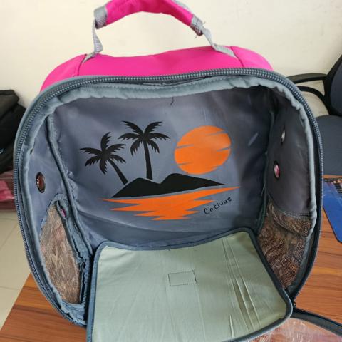 Transparent Cat Carrier Apple Shape Green