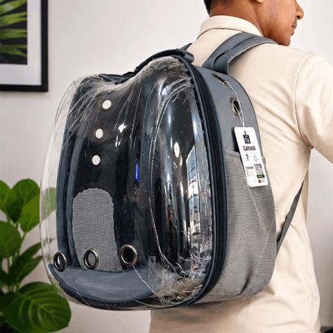 Transparent Cat Carrier Apple Shape Ash