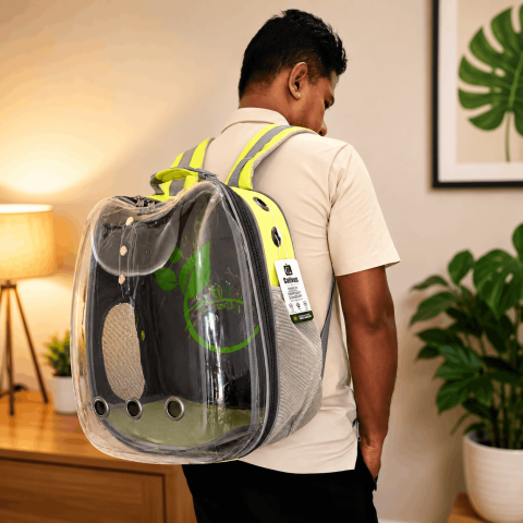 Transparent Cat Carrier Apple Shape Green